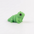 BABY IGUANA